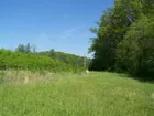 11 acres on Smithville Hwy.