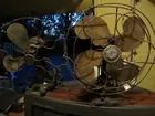 Old fans
