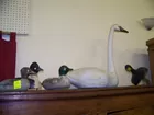 4 DUCK DEOYS AND A SWAN
