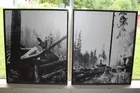 Pair of Kinsey prints