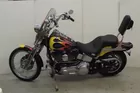 2005 HD, Springer, Softail