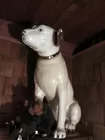 Nipper