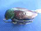 1900's Cicada Pin, coral eyes
