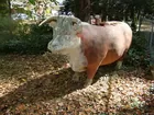 BI LO BULL