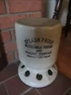  Chick Fountain 