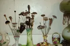 Hat pin Collection