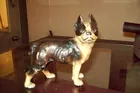 Cast iron Bank