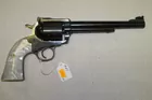 Ruger Blackhawk .357 Magnum