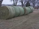 4th Cutting Big Round Bales Shedded
