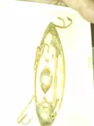 1910 fishing lure