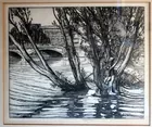 Water Willows by Rio Partridge