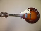 Kay Elec Mandolin