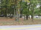 3+ acres with 7 rentals