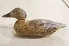 Wood Duck Decoy, Mallard Hen
