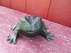 Cast Iron Frog Bank