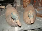 Duck Decoys