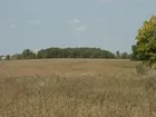 Mailand Trust Farm