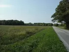 Mailand Trust Farm 40 acres @ $3400/A