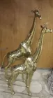 Brass Giraffes