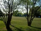 Spacious Grosse Ile Michigan Estate on 7.65 acres