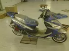Terminator Primo Scooter