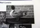 Pintail  Carving