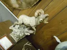 ram