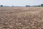 151 Acres Prime Posey Co IN Farmland!