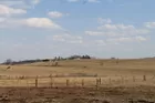 Jones County Farm