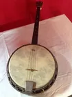Elite Banjo w/Decorated Back