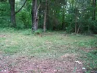 7.4 Acres in Darmstadt on Fleener Rd