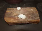 pc. of wood w/2 c.w. bullets
