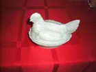 jadeite hen on nest