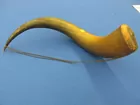 Early Powder Horn