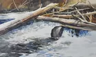 Waterfall Watercolor sgd. Irving Shapiro