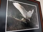 Steve Leed Print