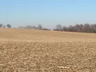 150 Rolling & Wooded Acres in Posey County