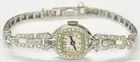 Platinum & Diamond Watch