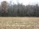 134+/- Tillable & Wooded Acres in Warrick Co IN