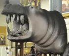 Lg. Hanging Hippo Wall Sculpture