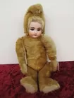 #8 Bisque Head Teddy Doll
