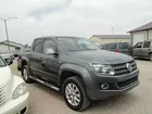 2011 Volkswagen Amorak