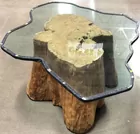 Custom Tree Trunk Glass Top Coffee Table