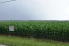Warrick County Farm Ground!