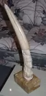 Carved Ivory Tusk