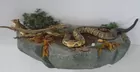 Rattlesnake w/chipmunk