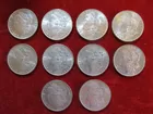 #5 (10) Choice Morgans