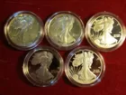 #17 Proof Silver Eagles