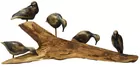 Driftwood Pc. w/5 Carved Wood Ducks