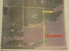 Land Auction of Hunting and Recreational Ground